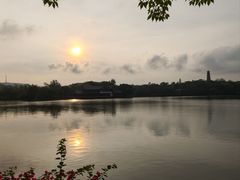 -九毛九西北菜(番禺万达店)