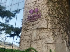 -北京中信金陵酒店