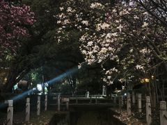 -柳侯公园