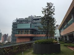 -香港大学