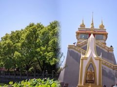 -洛阳白马寺