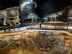 -二连浩特国家地质公园