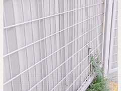 -上海游泳馆(地铁站)