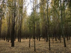 -赛汗塔拉风情园