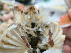 -望海潮海鲜店 特色家常菜(在海一方店)
