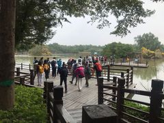 -大湾区中央湿地公园