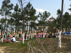 -瑶湖郊野森林公园