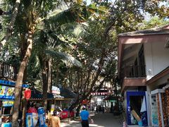 -海南分界洲岛旅游区