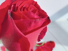 -常乐·对症推拿(世豪第30分店)