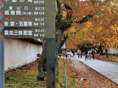 -醍醐寺