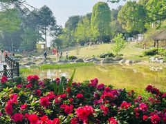 -铁山坪森林公园