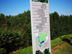 -万绿园