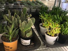 -鹿岛会员店 (龙湖三千集天街店)