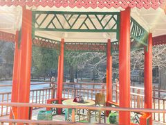 -香山公园