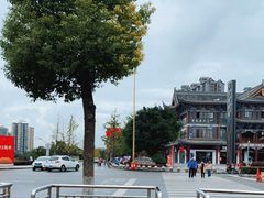 -眉山湿地公园(东坡区)