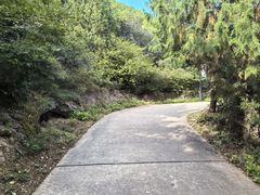 -府君山公园