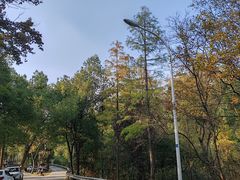 -青龙山国家森林公园