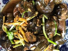 -生态苑农庄(十里画廊遇龙河店)