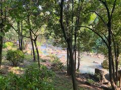 -广州白江湖森林公园