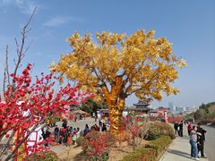 -威海华夏城景区