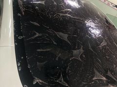 -车水马龙3M汽车贴膜冠军店隐形车衣改色膜(漕宝路中环店)