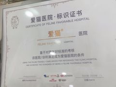 -宠颐生宠物医院·心肾内科·猫专科诊疗中心宠巢店