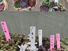 -李村大集