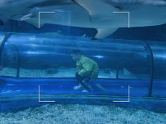 -福州罗源湾海洋世界旅游区