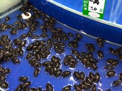 -东风市场(民治路店)