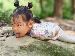 -铁山坪森林公园