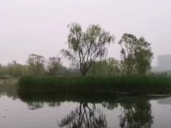 -大兴滨河森林公园