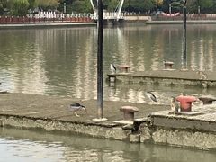 -苏州河梦清园环保主题公园