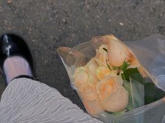 -循礼门鲜花花市(武汉循礼门店)