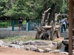 -北京野生动物园