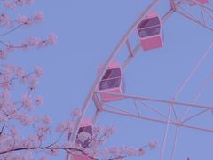 -顾村公园
