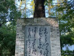 -上海醉白池公园
