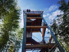 -宁波浙东大竹海景区