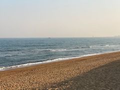 -渡海小渔村.老辈日照菜