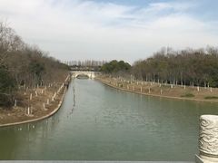 -上海海湾国家森林公园