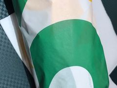 -SUBWAY赛百味(高新绿宝店)