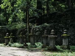 -天目山大树王景区