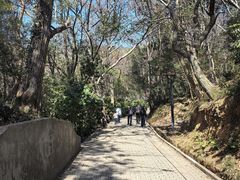-虞山风景区