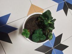 -艳阳天·非遗楚菜(武汉客厅店)