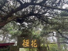 -庐山风景区花径公园