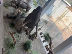 -中国第四纪冰川遗迹陈列馆
