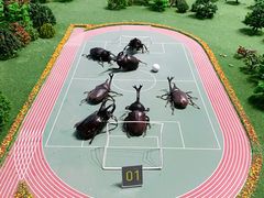 -南宫五洲植物乐园