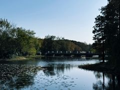 -长广溪湿地公园