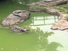 -南昌动物园