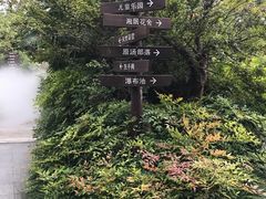 -杭州第一世界大酒店·云曼温泉