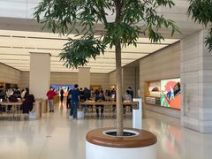 -Apple零售店(济南恒隆广场店)